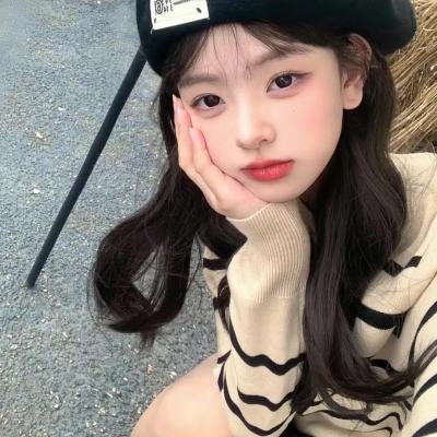 与鲨鱼游弋